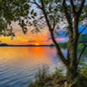 Meet your Posher, Luann